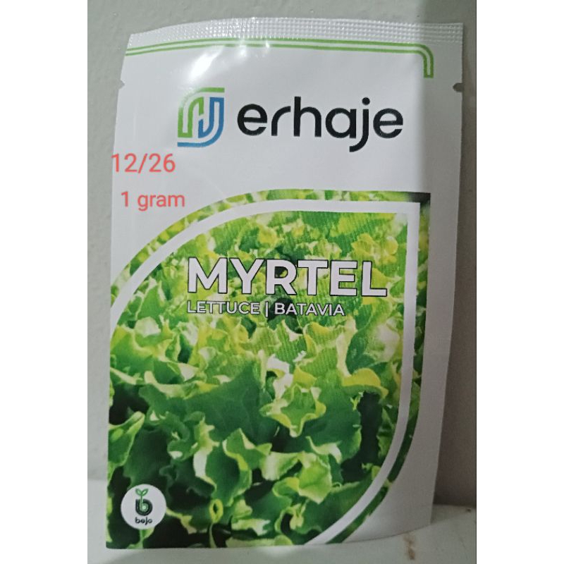 Selada Myrtel Bejo Seed 1 gram