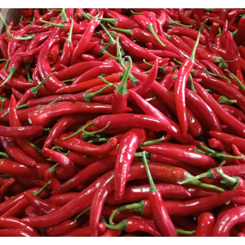 

sayur mayur cabe merah tw fresh 250gr500gr1kg