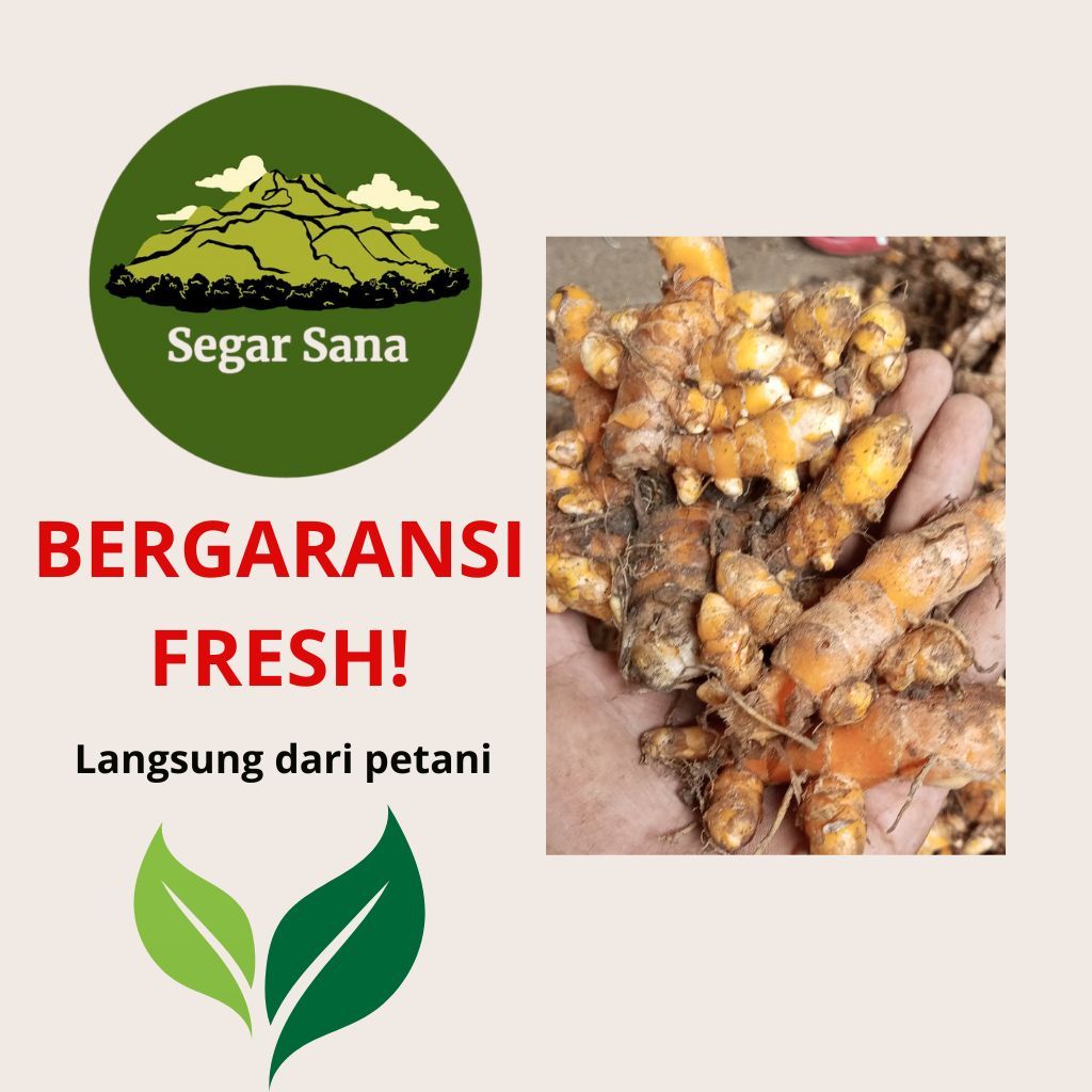 

Kunyit/kunir orange asli premium bergaransi