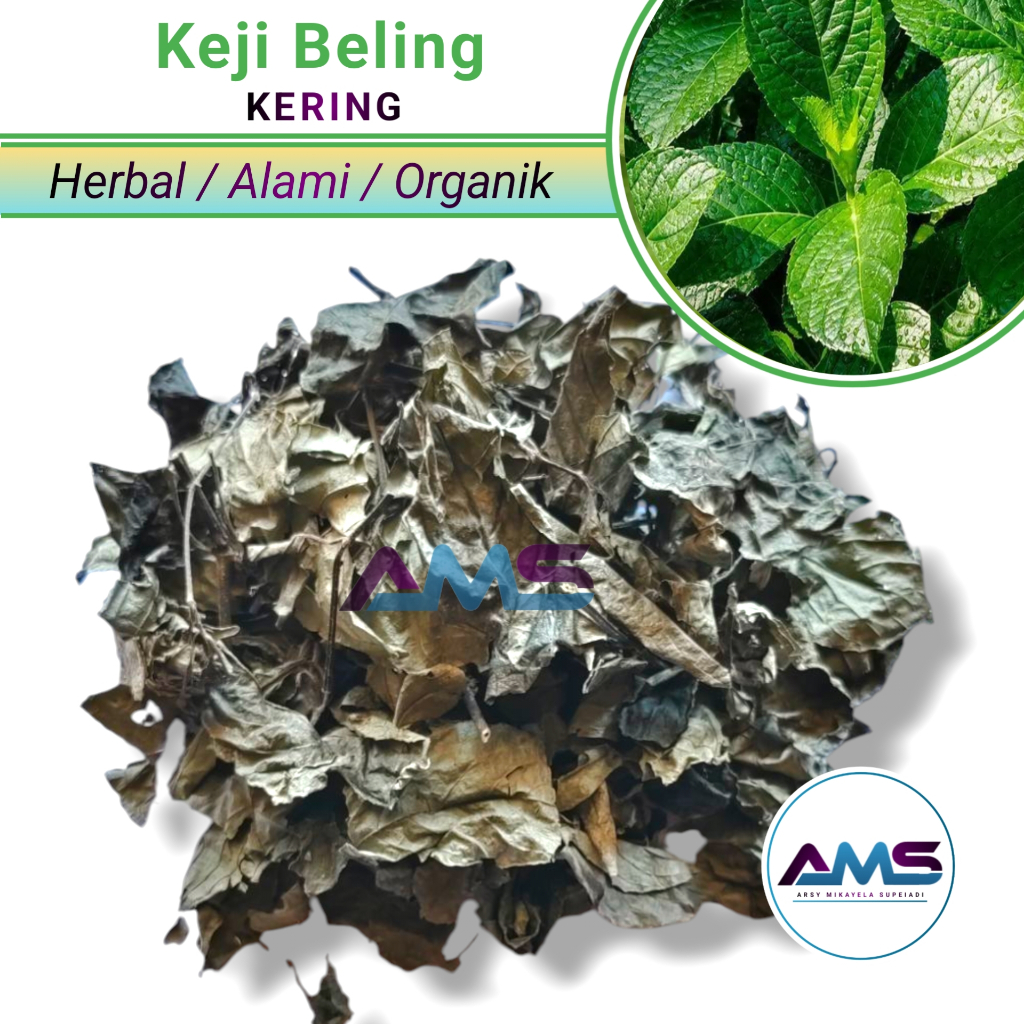 

Daun Keji Beling Kering 500 gram Daun Pecah Beling Herbal Batu Ginjal