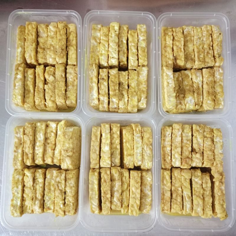 

tempe ungkep Frozen,isi 12,beku