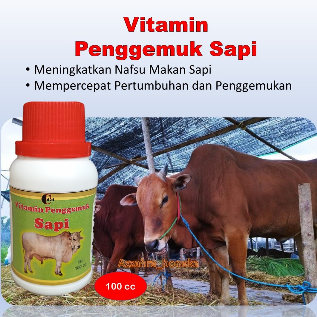 Vitamin Penggemuk Sapi C625 / Vitamin Sapi Agar Cepat Gemuk / Penggemuk Sapi Super Cepat / Vitamin S