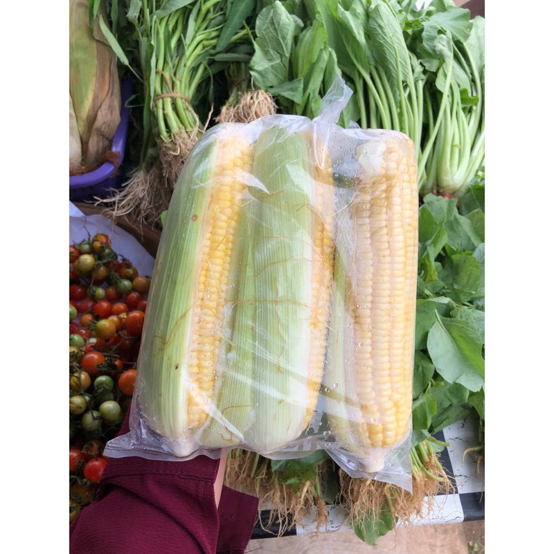 

Jagung bungkus