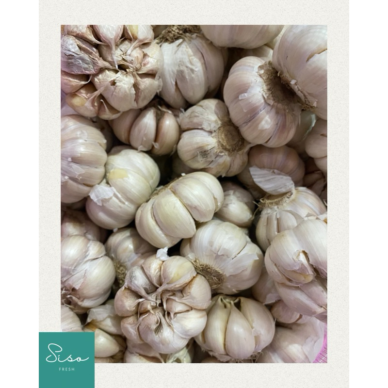 

Bawang Putih / Bawang Putih Bersih Berat 500 gr - 1 kg