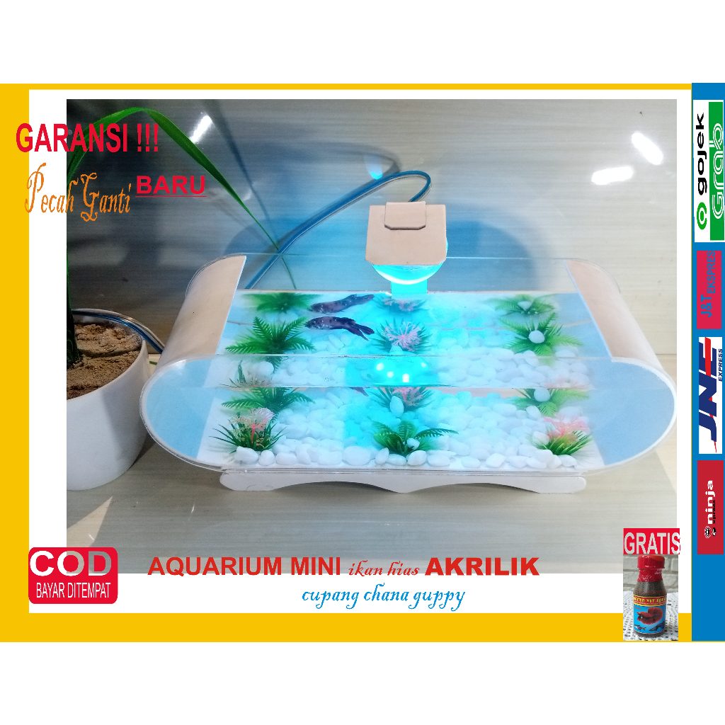 Aquarium Mini Duable Akrilik Ikan Hias & Cupang LAMPU USB