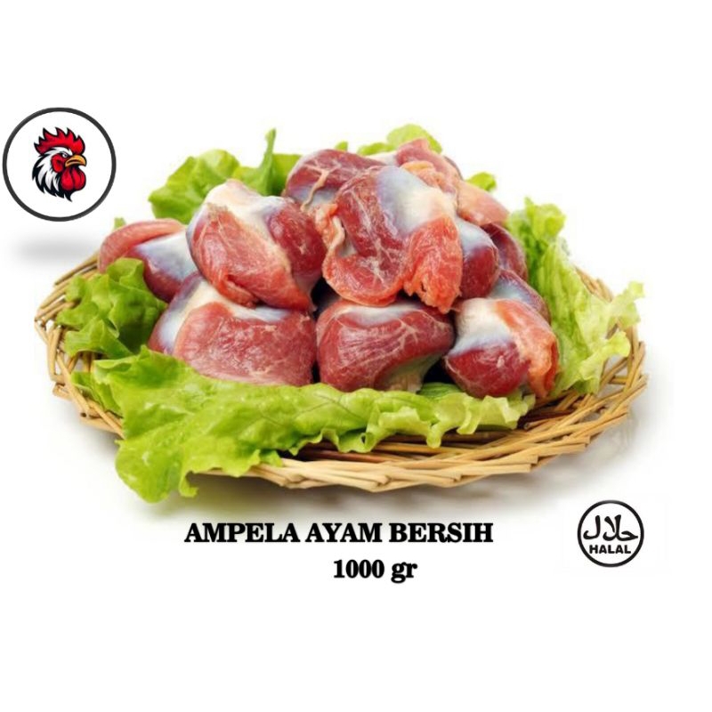 

AMPELA HATI AYAM BERSIH 1 kg