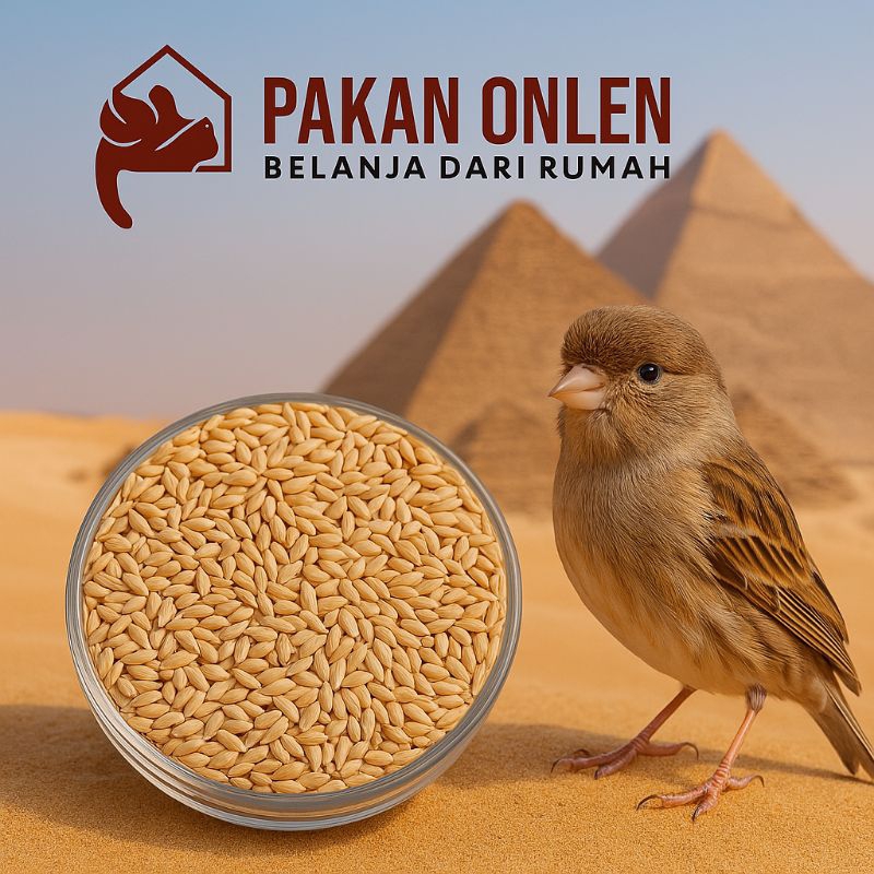 Canary Seed merk Vita kemasan 1kg