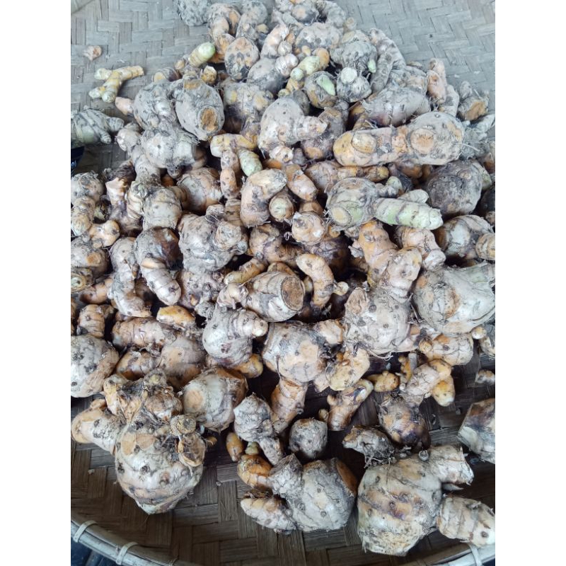 

temulawak kuning herbal 500 gram