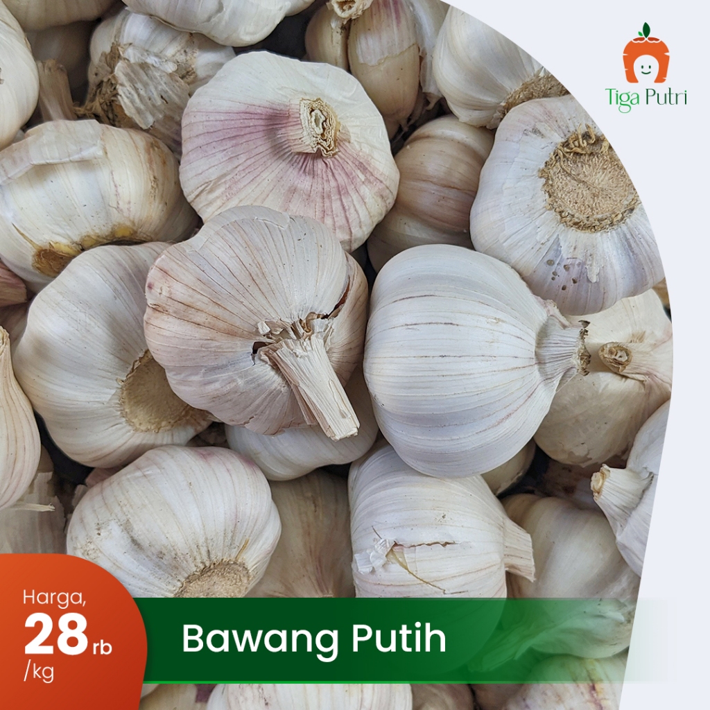 

Bawang Putih Segar, Wangi Tajam, Kualitas Terjamin!