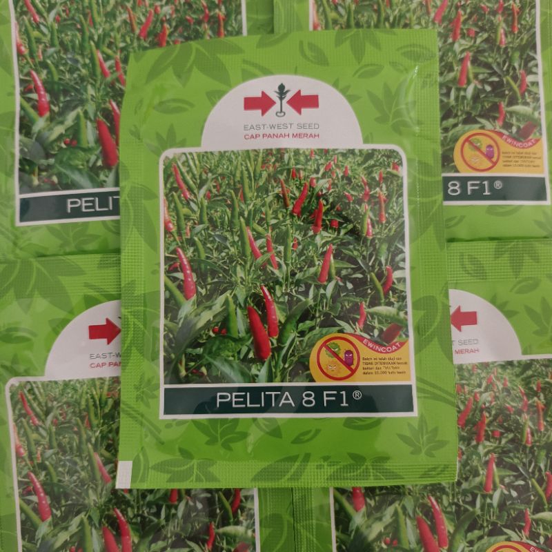 

cabe pelita 8 f1
