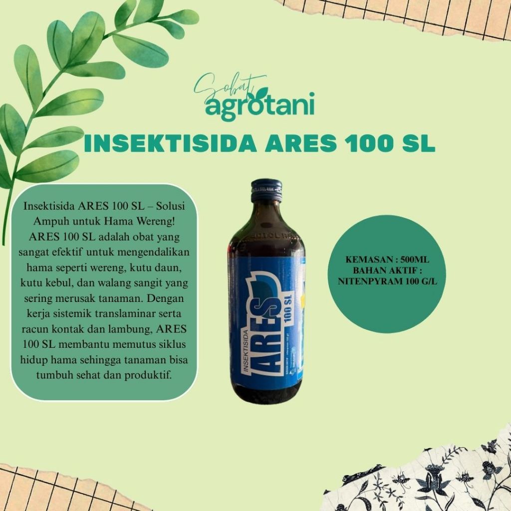 ARES Insektisida 100 SL 500 ml Obat Wereng TerbaikARES Insektisida 100 SL 500 ml Obat Wereng Terbaik