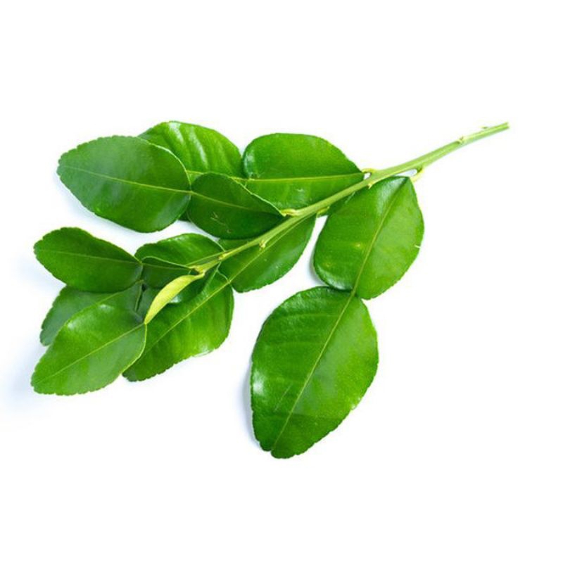 

daun jeruk nipis 100 g langsung metik segar