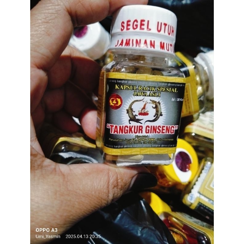 Ready "TANGKUR GINGSENG" kapsul isi@30