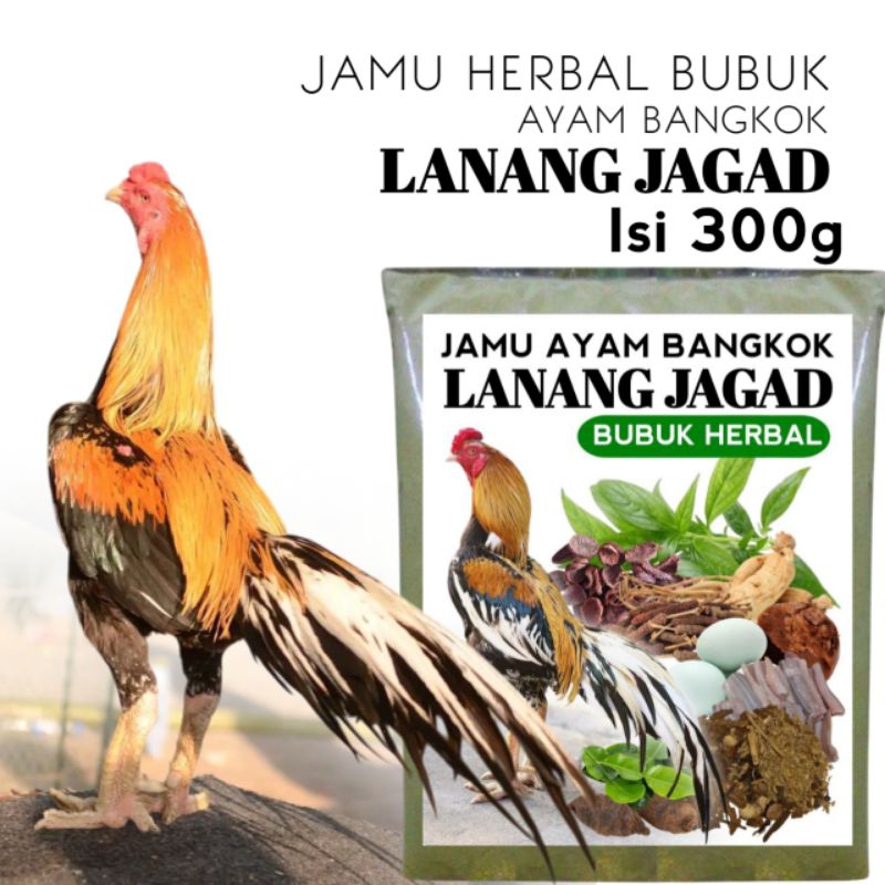 jamu kesehatan ayam bangkok