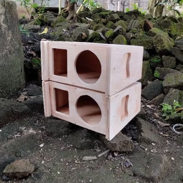 Box Line Array 4 Inch Single Tweeter Ax 65 Vera