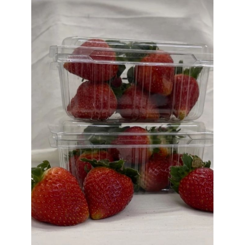 

Buah Strawberry Lokal Organik 250gr