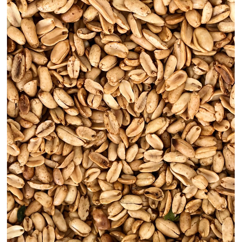 

KACANG BAWANG DAUN JERUK-KACANG GAWIL 500GRAM-1KG