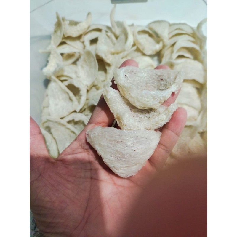 

sarang burung walet sudut bersih (cmkc 1% merah)