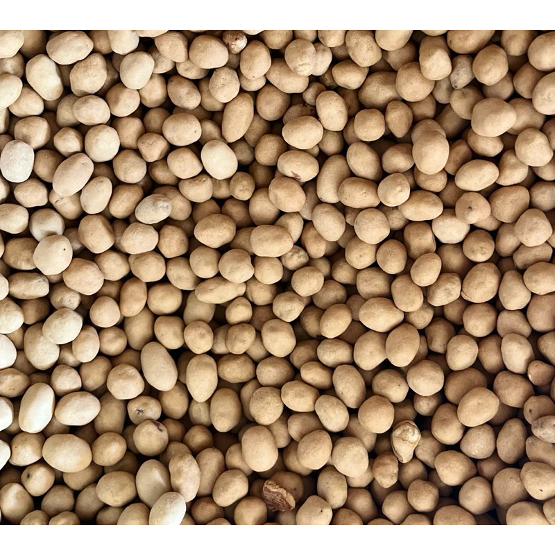 

KACANG ATOM MAYASI 500GRAM-1KG