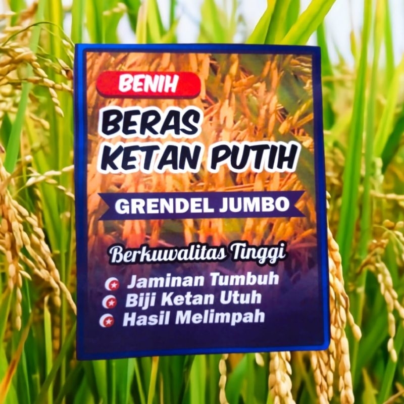 

Beras ketan putih berkualitas siap tanam (1000g)