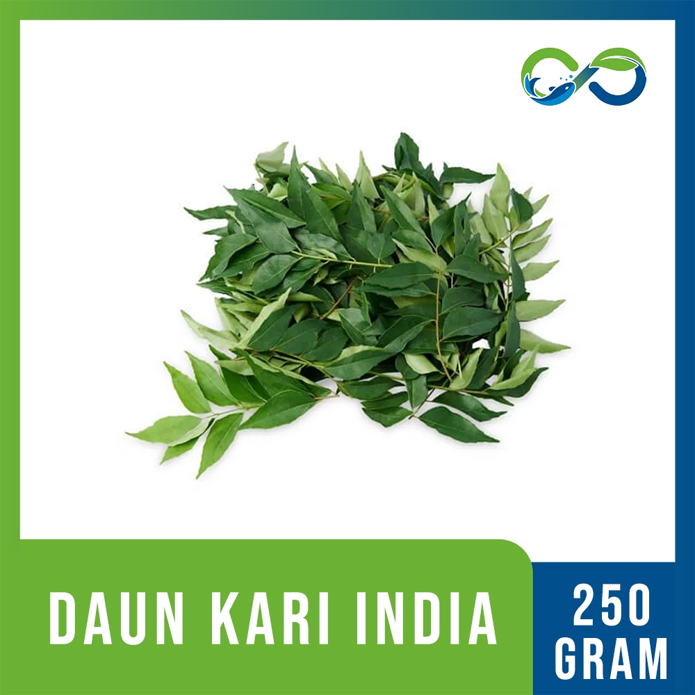

[Aqua Eco Farm] Daun Kari India 1 Tangkai Daun Kari / Salam Koja / Aceh Segar / Fresh Curry Leaves Bandung