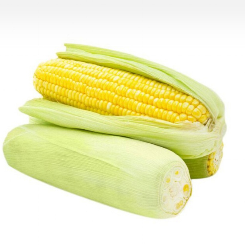 

jagung 1 buah