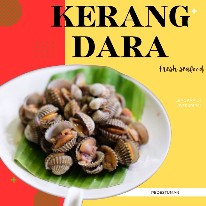 

SEAFOOD KERANG DARA FRESH