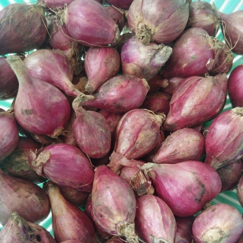 

BAWANG MERAH 1KG UKURAN SEDANG