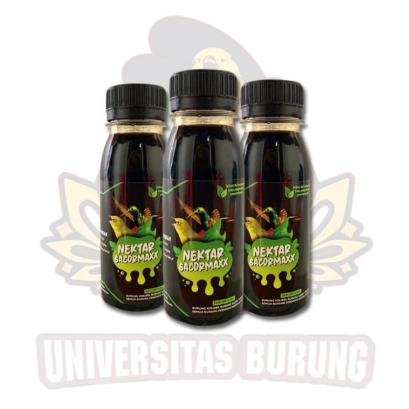 NEKTAR GACORMAXX (H174M) PLECI SOGON COLIBRI GACOR MAXX