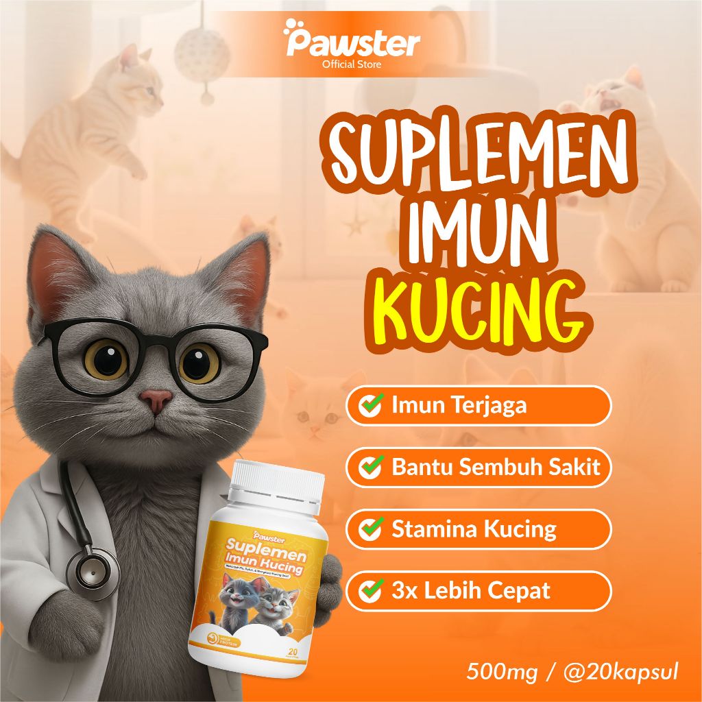 Suplemen Imun Kucing | Obat Kucing Sakit dan Lemas | Pawster