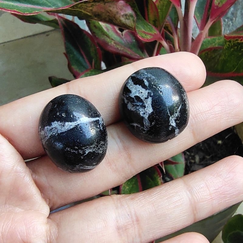 Batu Akik Batu Fosil Kayu Ulin Asli Antik Unik