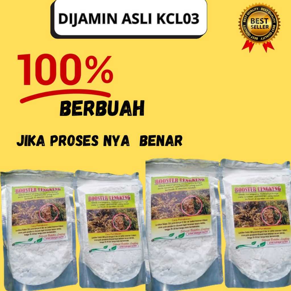 BEBAS JAMUR  Booster Kelengkeng New Kristal Cangkok, Booster Kelengkeng New Kristal Berbuah