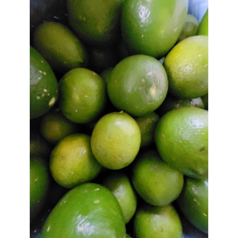 

Jeruk lemon california hijau