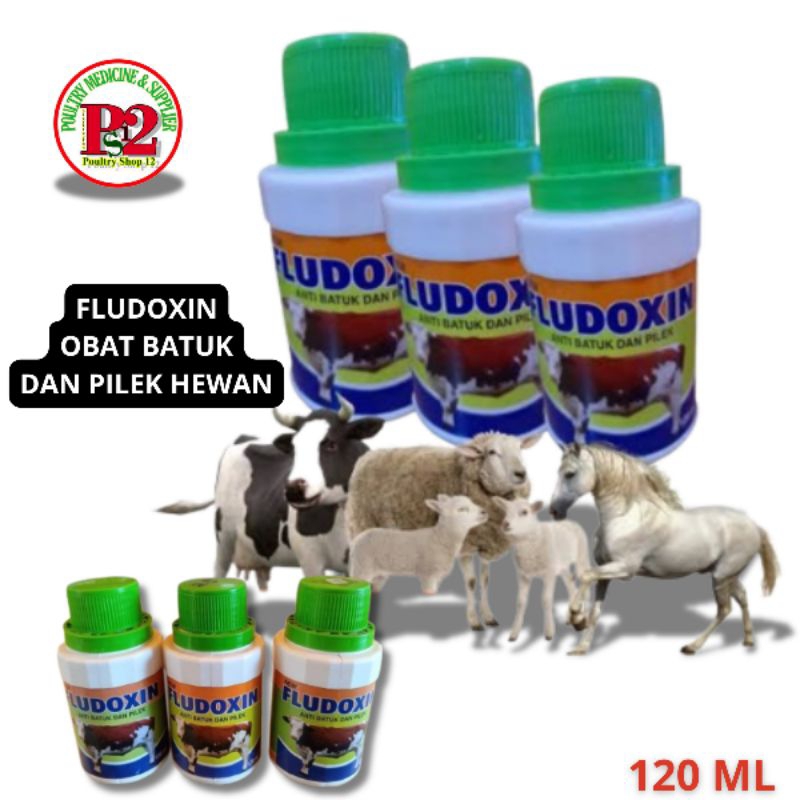 OBAT FLU SAPI FLUDOXIN OBAT FLU KAMBING OBAT BATUK HEWAN OBAT BATUK SAPI OBAT BATUK DOMBA OBAT BATUK