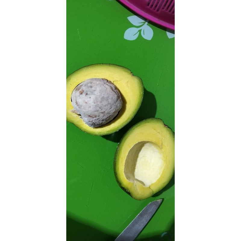 

Alpukat mentega Muria.
