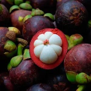 

buah manggis fresh(1000g)