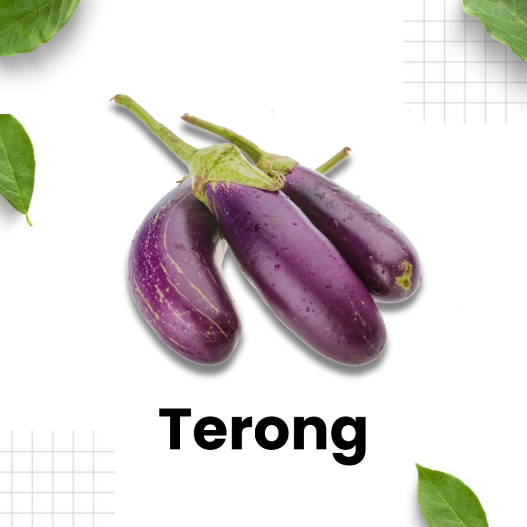 

Terong Ungu 1 Biji / sayur segar / terong / sayuran hijau / Sidoarjo Surabaya