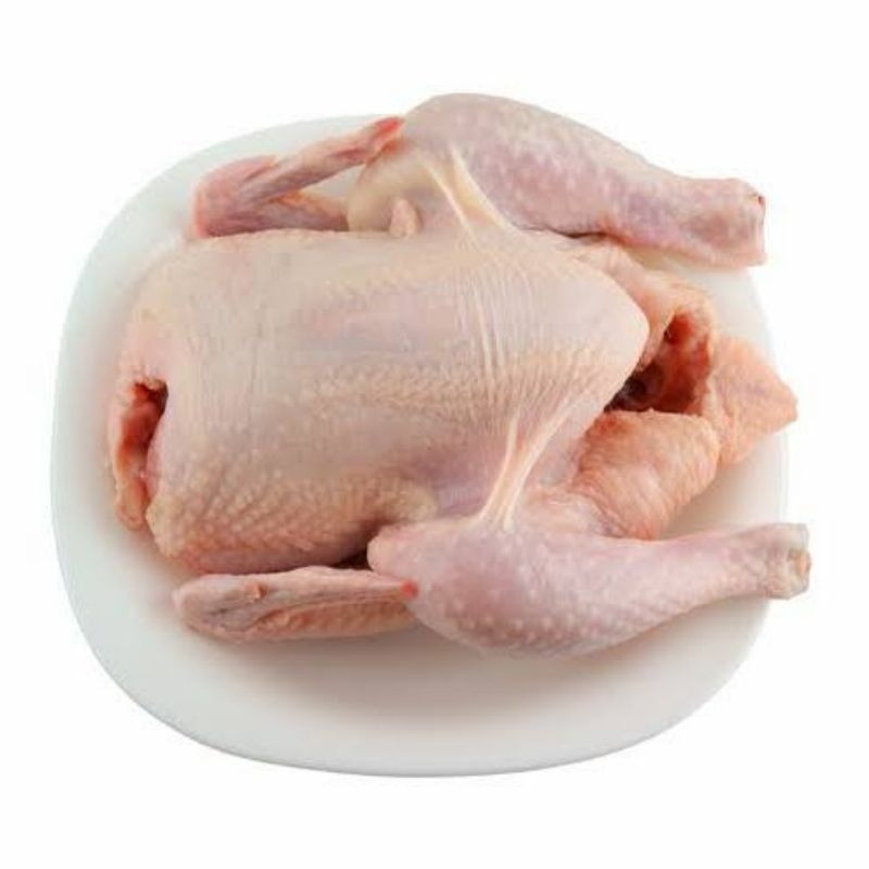 

Ayam Karkas 800 gr