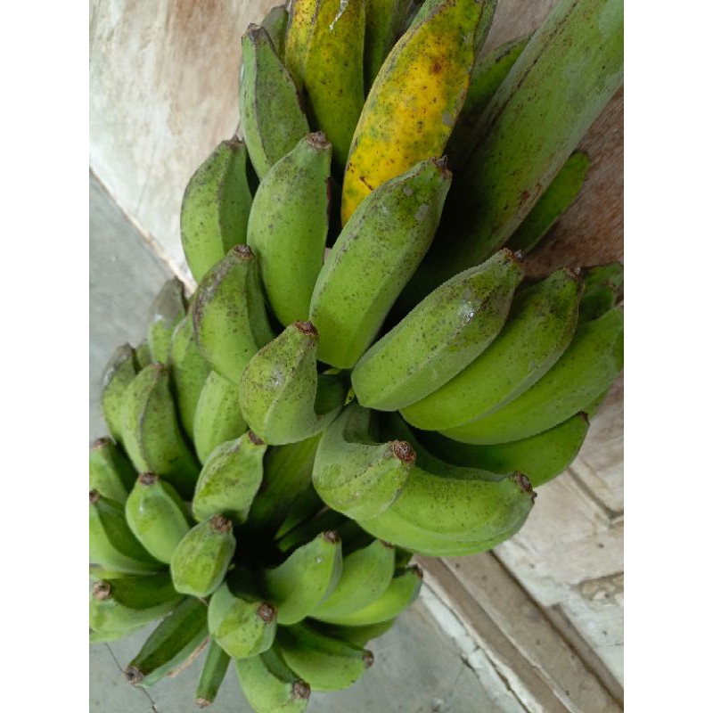 

Pisang raja bulu/rojo ayu/pisang rojo per 1 kg