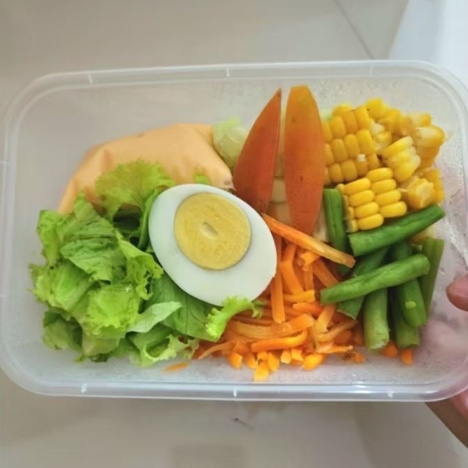 

SALAD SAYUR SEHAT