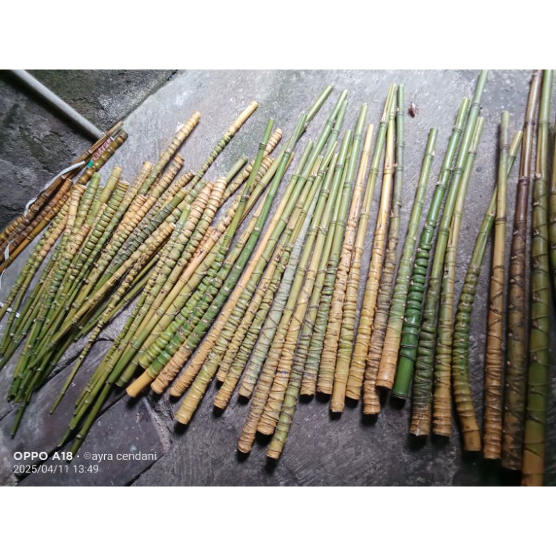 bambu cendani (gagang joran)