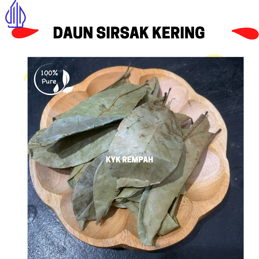 

Daun Sirsak Kering [ 50 gram] Sirsak Kering Premium Hipertensi