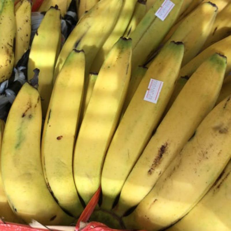 

pisang Ambon harum pe 1kg