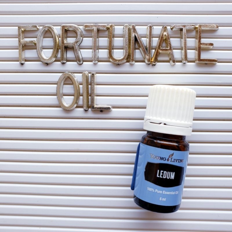 Siap KIRIMYoung Living Ledum Essential Oil 5ml