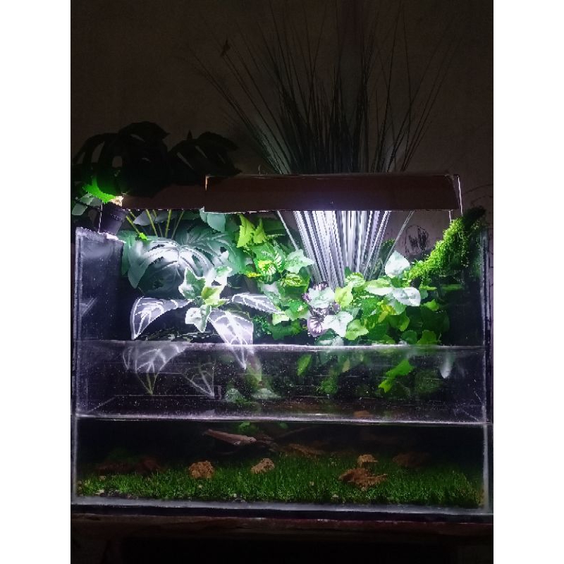 Paludarium Fullset Tanaman Sintetis