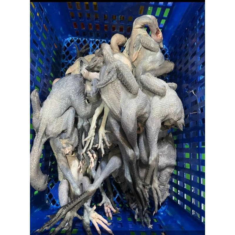 

Ayam Kampung 1kg