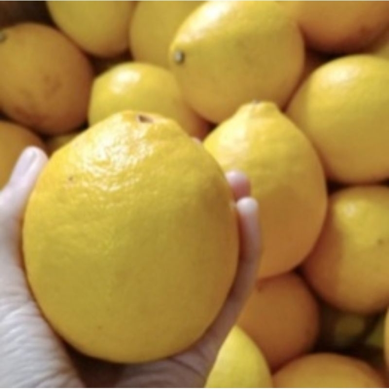 

LEMON CALIFORNIA FRESH 1KG