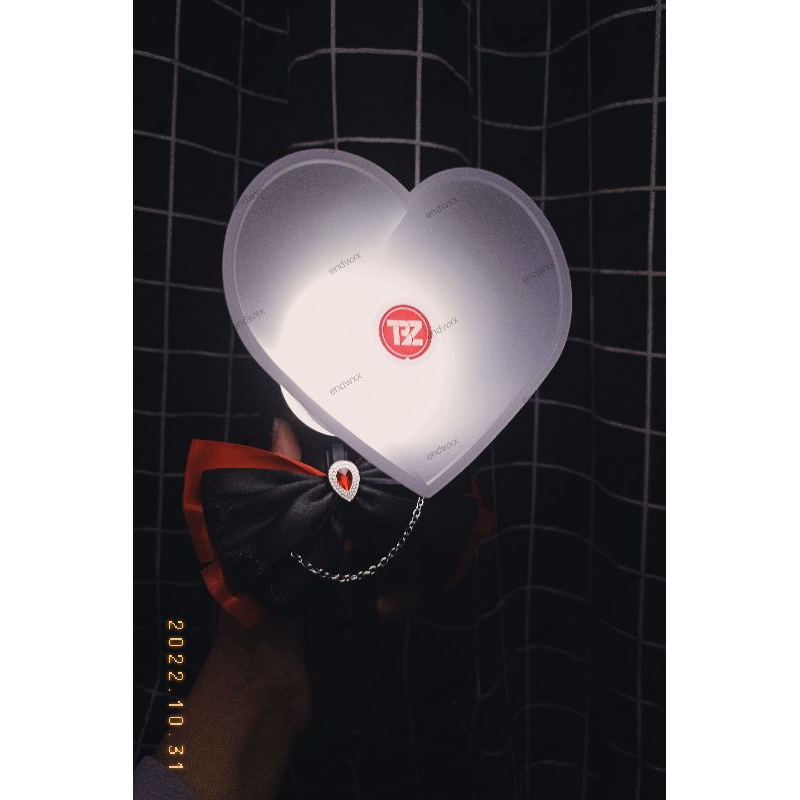THE BOYZ OFFICIAL LIGHTSTICK (TOABONG)