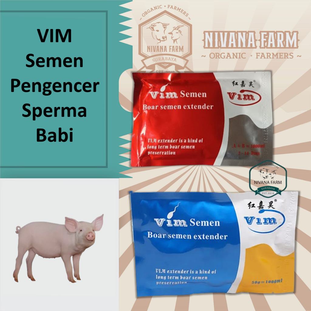 VIM Semen Pengencer Sperma Babi