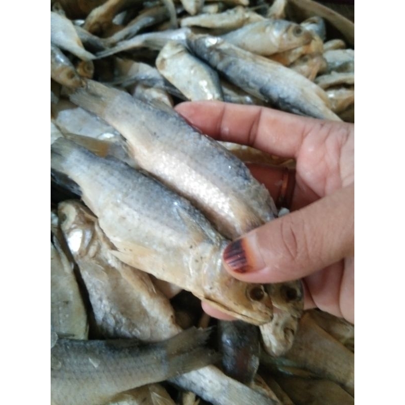 

ikan asin
